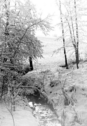 Röhrsdorf, winterlicher Mühlengrund mit der Rietzschke