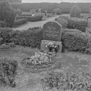 Grabsteine auf dem Friedhof