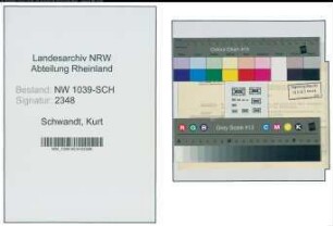Entnazifizierung Kurt Schwandt , geb. 03.04.1901 (Rechtsanwalt)