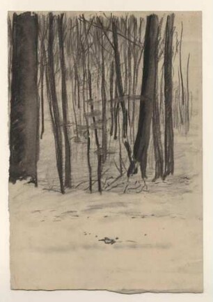 [Waldstück]