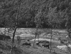 Archivfotografie "ausland_finnland_on02"