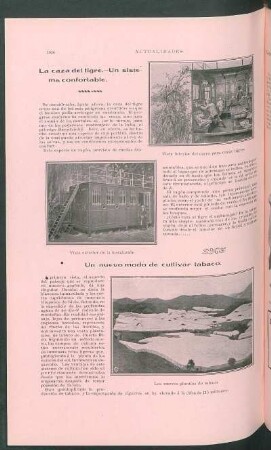La casa del tigre. - Un sistema confortable