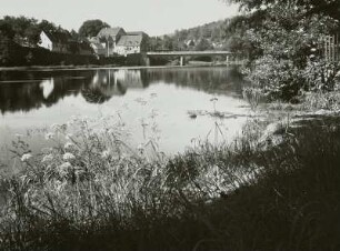 Colditz, Blick über die Mulde auf die Stadt