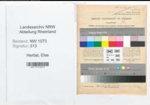 Entnazifizierung Else Herbst , geb. 09.06.1901 (Lehrerin)