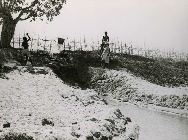 Watering with a curved bucket