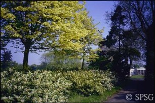 Potsdam, Park Sanssouci, Park Charlottenhof.