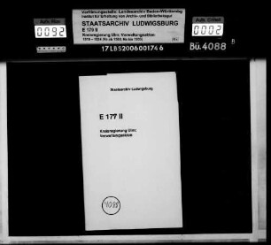 Revisionsassistenten Zimmermann und Schneider