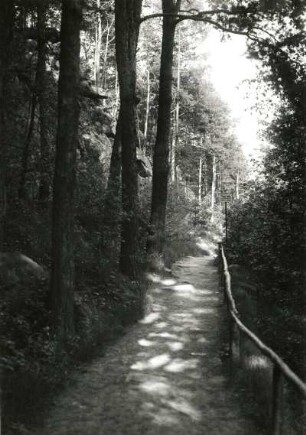 Oberlausitz. Mittleres Spreetal. Uferpromenade beim Eintritt der Spee in die "Bautzener Skala". Engtalstrecke im Vogelhain (Humboldthain)