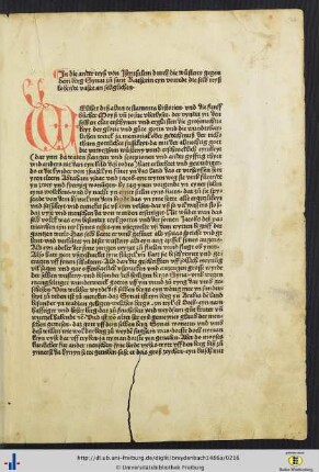 Reyß von Jherusalem durch die wuosteny