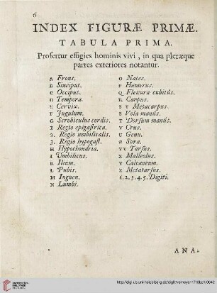 Index figurae primae: Tabula prima
