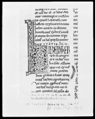 Bernhard von Clairvaux, Sermones in Cantitum Canticorum — Initiale L (iberter), Folio 204 verso