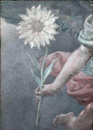 Glorie der Heiligen Anna