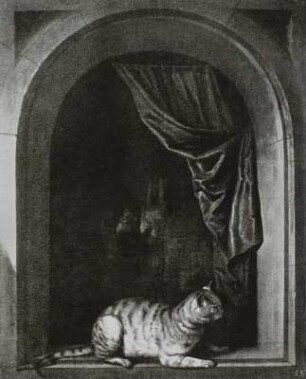 Katze am Fenster