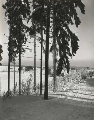 Altenberg. Teilansicht mit Bahnhof