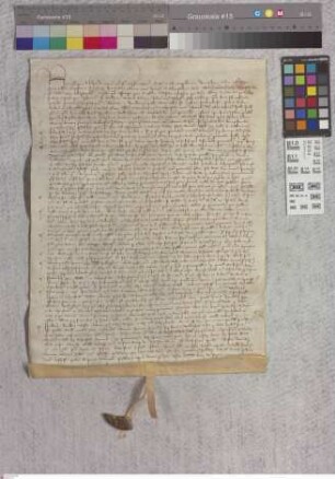Klein-Welzheim: Instrumentis examinis testium in causa Henrici Motz clerici herbipol. contra abbatem et conventum monasterii in Selgenstad ratione...