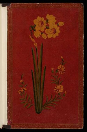 Buchschmuck: Vorderer Spiegel mit Narzissen und anderen Blumen