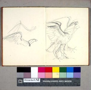 Adler