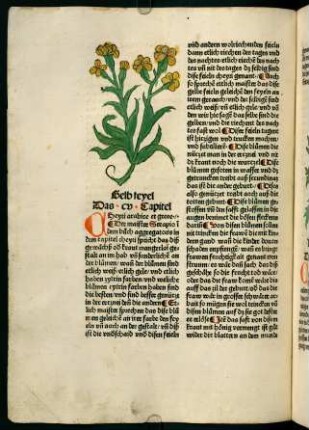 65v-66r, Gelb teyel (105. Kapitel)