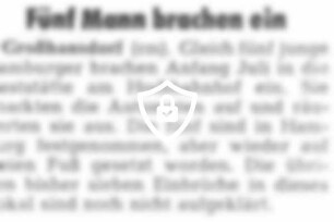 Fünf Mann brachen ein