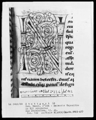 Haimonis enarratio in prophetas minores — Initiale N(ahum), Folio 102recto