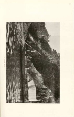 A salôn boat
