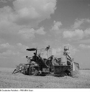 Landwirtschaft