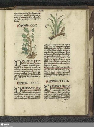 [Capitula. CCCI - CCCX]