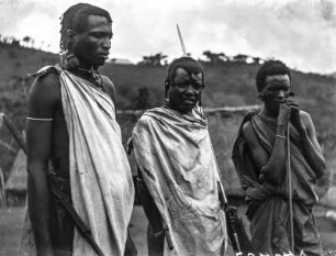 Massai Hirten : Portrait von drei Massai Hirten.