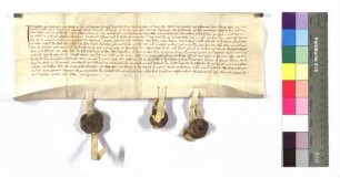 Engelhard von Bachenstein, Albrecht und Irmgard, seine Kinder, verkaufen die Vogtei und den Besitz zu Lutfritzberg dem Kloster Schöntal; Siegel: Engelhard von Bachenstein, Conrad von Veinau, Albrecht von Bachenstein.