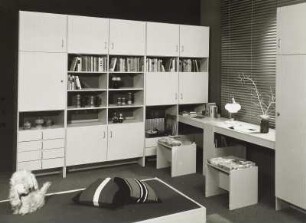 Kinder- und Jugendzimmer (Modell 5030)