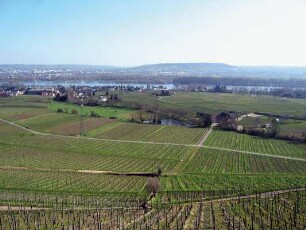 Mühlental Elsterbachgrund; Oestrich-Winkel, Gesamtanlage