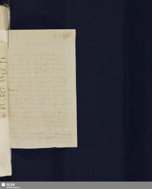 Bl. 293-295. SvC, Veit Hans an SvC, Julius