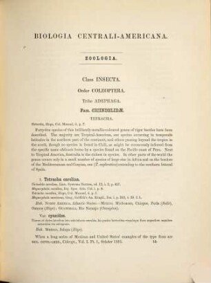 Insecta : Coleoptera, 1,1