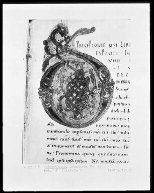 Lateinische Grammatik des Priscian, Ms. 59, folio ?, Initiale D