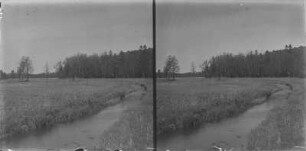 Bachlauf : Blick über einen Bachlauf in einer Wiese zum Wald.