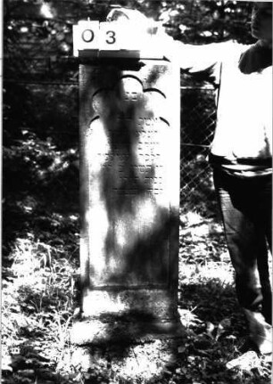 Grabstein 31 (Index: 100101194) Material: Sandstein Zustand: leicht verwittert Maße HxBxT: 134x40x15 cm Beschreibung: Stele, Sockel, obeliskenartiger Abschluß, Schriftfeld mit Rundbogenfries Symbolik: Rundbogenfries als Schriftfeldabschluß: Grabstein 31