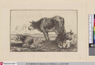 [Drei Kühe; Three cows]