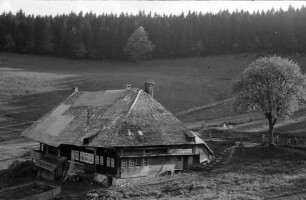 Muggenbrunn: Schwarzwaldhaus in Muggenbrunn; von oben mit Wald