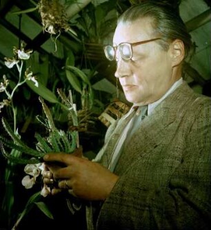 Otto Schwarz im Botanischen Garten Jena : Lehrstuhlinhaber für Spezielle Botanik und Vorsitzender der Thüringen Botanischen Gesellschaft und des Botanischen Gartens der FSU Jena