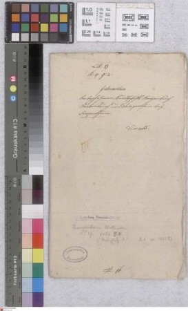 Lampertheim: Instrumentum der geschehenen Kundschaft Kreyenbruch, Ruppenbruch und den Weingarth Rhein bei Lampertheim betreffend