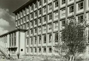 Zellescher Weg
