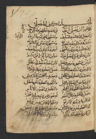 Arǧūza fī 'l-fiqh
