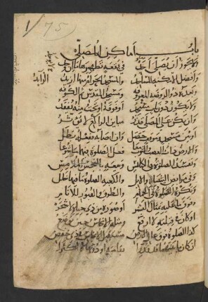 Arǧūza fī 'l-fiqh