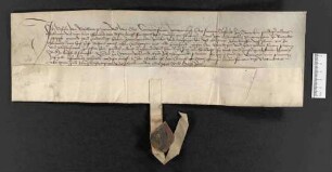 Verwilligungsbrief des Klosters Steinheim für Diethelm Neumayer zu Rietenau, Geld bei den Klosterfrauen zu Pforzheim aufzunehmen