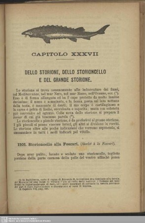 Capitolo XXXVII. Dello storione, dello storioncello e del grande storione