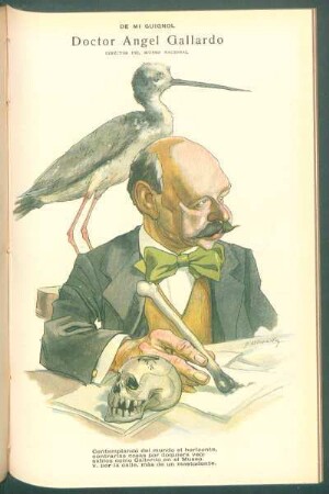 Doctor Ángel Gallardo, director del Museo Nacional - [Caricatura] : De mi Guignol