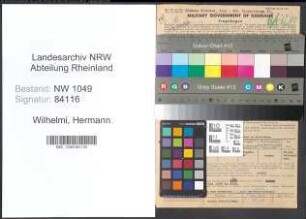 Entnazifizierung Hermann Wilhelmi , geb. 07.11.1896 (Klempner)