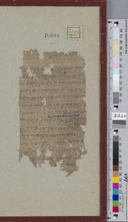 Homer, P 153-167. 175-178