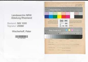 Entnazifizierung Peter Wischerhoff, geb. 13.01.1901 (Elektriker)