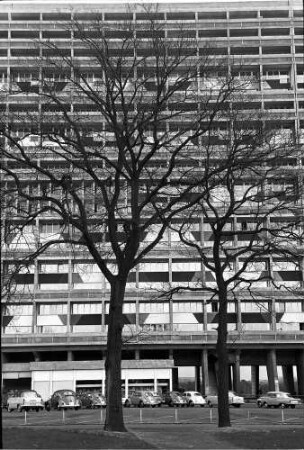Berlin: Le Corbusier-Haus; Vordergrund kahler Baum